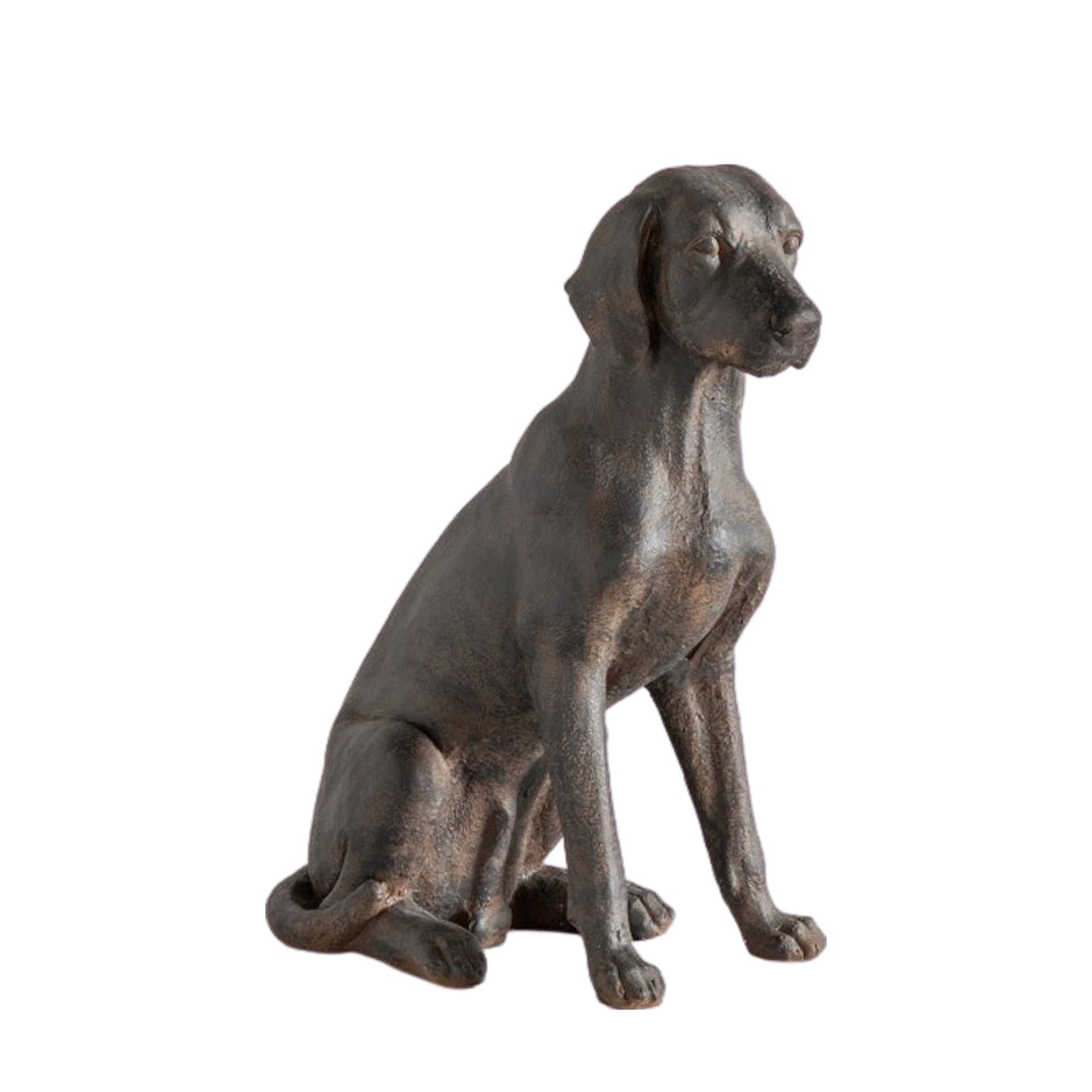 Gallery Direct Digby Dog