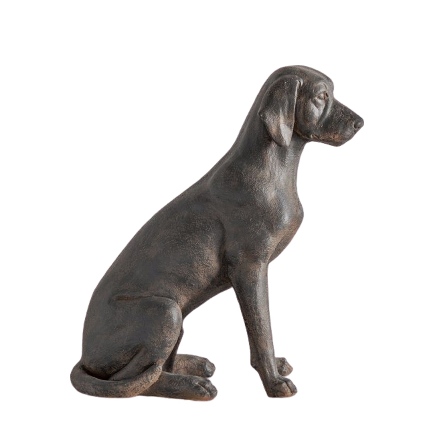 Gallery Direct Digby Dog