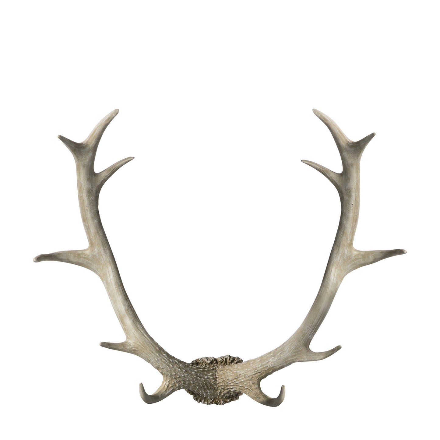 Bjorn Antler Wall Art White