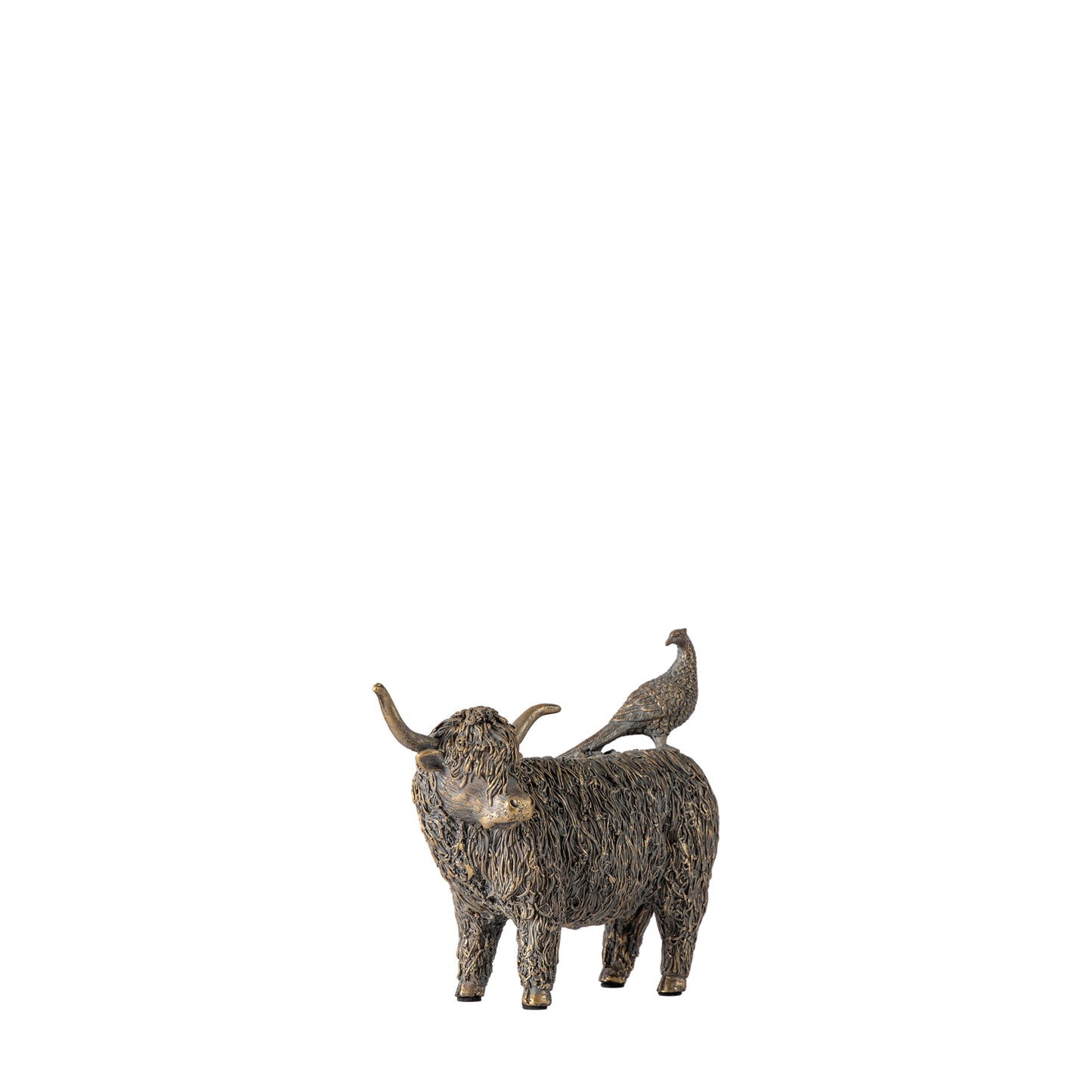 Highland Cow and Pheasant