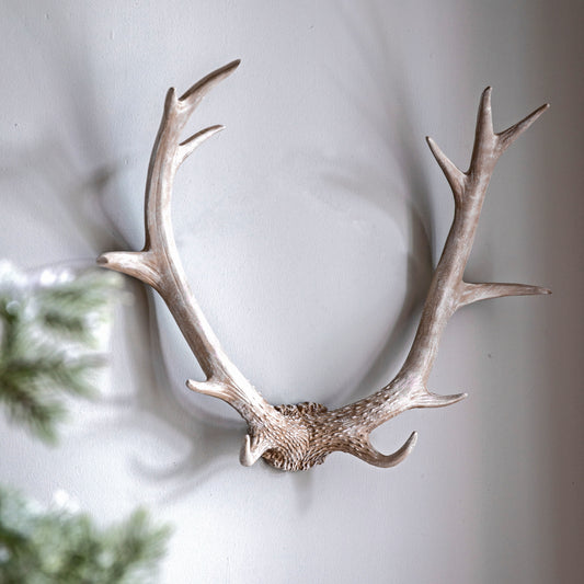 Bjorn Antler Wall Art White